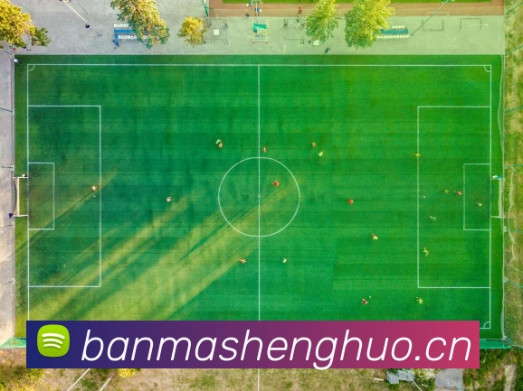 平台展示图
